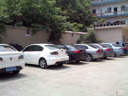 新起點(diǎn)汽車租賃 智能科技驅(qū)動的未來出行服務(wù)