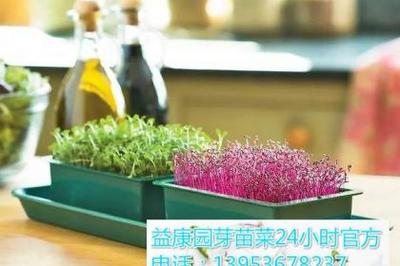 多媒體技術(shù)研發(fā) 驅(qū)動(dòng)數(shù)字時(shí)代創(chuàng)新與應(yīng)用的新引擎