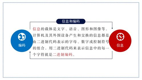 信息技術(shù)學(xué)科 通信基礎(chǔ)與網(wǎng)絡(luò)技術(shù)教學(xué)課件